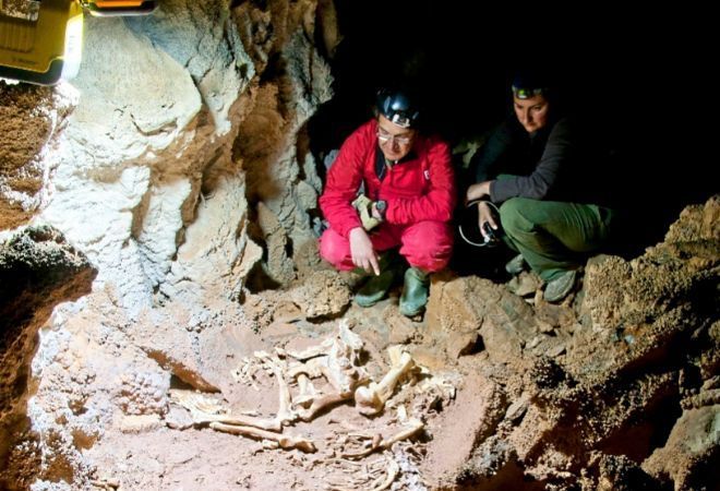 Investigadores junto al esqueleto de león de las cavernas